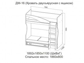 ДМ-16 Кровать двухъярусная с ящиком в Лесном - lesnoj.магазин96.com | фото