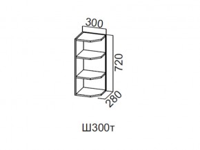 Ш300т/720 Шкаф навесной 300/720 (торцевой) в Лесном - lesnoj.магазин96.com | фото