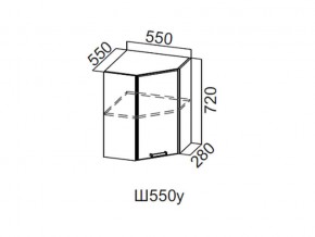 Ш550у/720 Шкаф навесной 550/720 (угловой) в Лесном - lesnoj.магазин96.com | фото