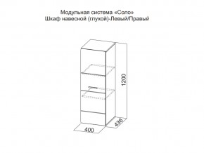 Шкаф навесной (глухой) Левый в Лесном - lesnoj.магазин96.com | фото