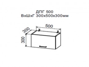 Шкаф верхний ДПГ500 горизонтальный в Лесном - lesnoj.магазин96.com | фото