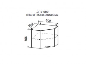 Шкаф верхний ДПУ600 угловой в Лесном - lesnoj.магазин96.com | фото